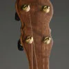 Waldman Chromatic Cherry 5-String Banjo – New