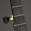 Waldman Chromatic Cherry 5-String Banjo – New