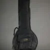Waldman Chromatic Cherry 5-String Banjo – New
