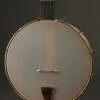 Waldman Chromatic Step 5-String Open Back Banjo New