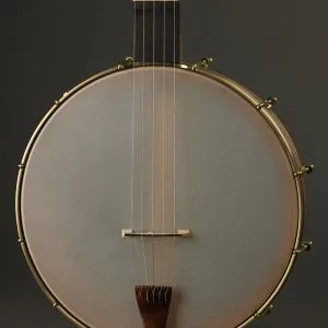 Waldman Chromatic Step 5-String Open Back Banjo New