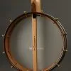 Waldman Chromatic Step 5-String Open Back Banjo New