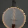 Waldman Chromatic Step 5-String Open Back Banjo – New