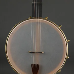 Waldman Chromatic Step 5-String Open Back Banjo – New