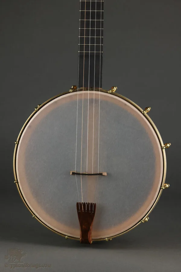 Waldman Chromatic Step 5-String Open Back Banjo – New
