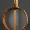 Waldman Chromatic Step 5-String Open Back Banjo – New