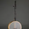 Waldman Chromatic Step 5-String Open Back Banjo – New