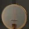 Waldman Chromatic Step-Side 5-String Open Back Banjo New
