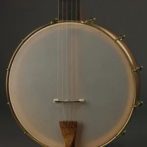 Waldman Chromatic Step-Side 5-String Open Back Banjo New
