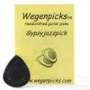 Wegen Gypsyjazz Picks
